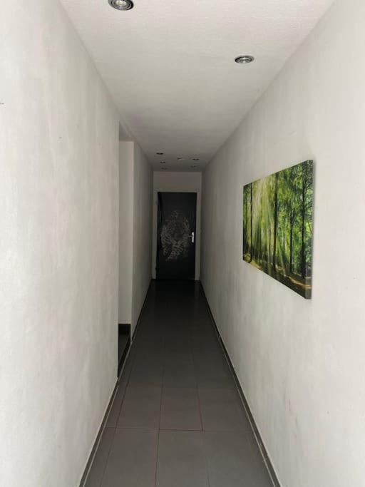 Ferien-Villa Direkt Am Rhein Sauna/Whirlpool Gotterswickerhamm Ngoại thất bức ảnh